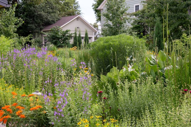 Prairie-Style Landscape