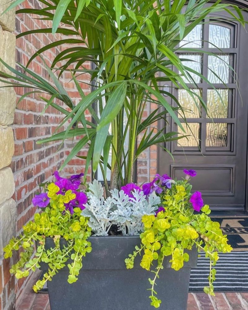 Tropical Statement