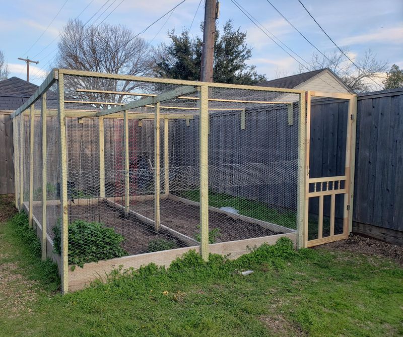 Chicken Wire Enclosures