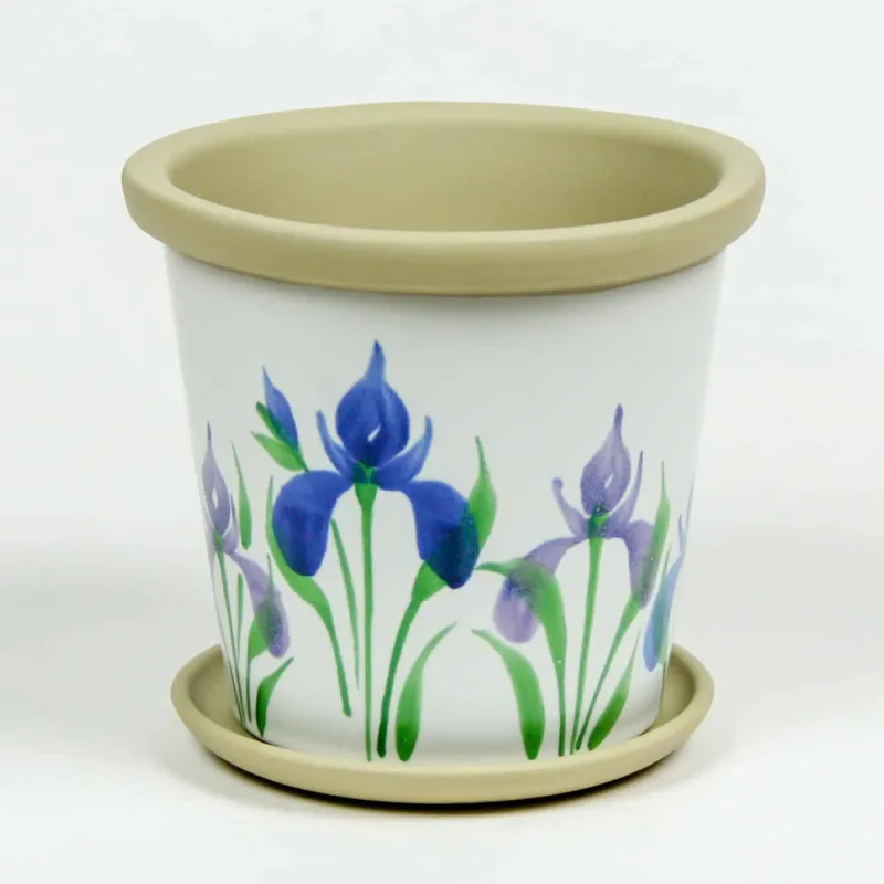 Paint Terracotta Pots With Iris Designs
