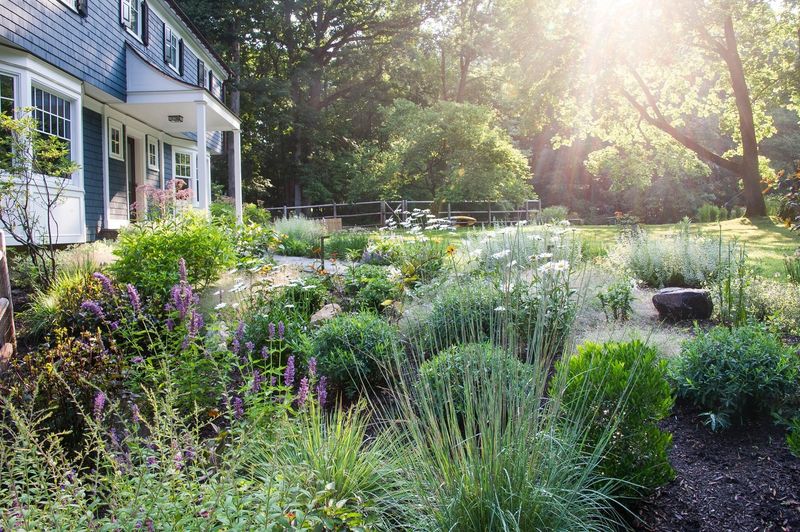Incorporate Native Plants
