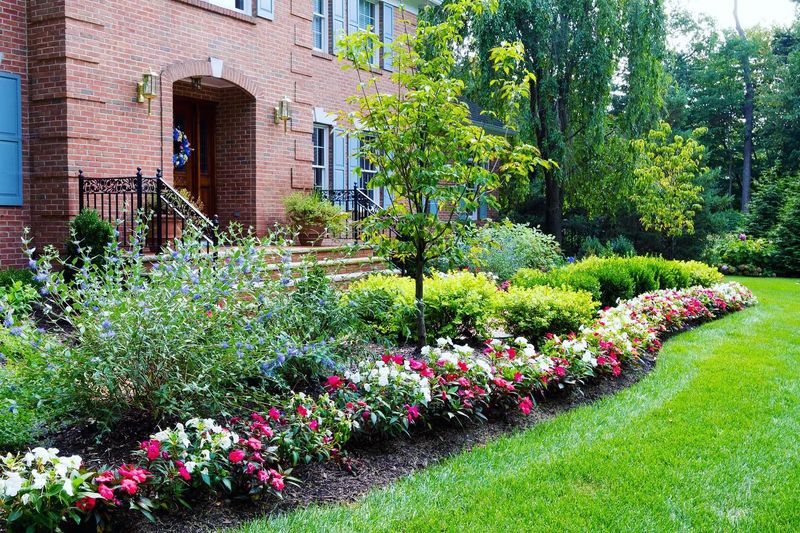 Manage Lawn Edges Carefully