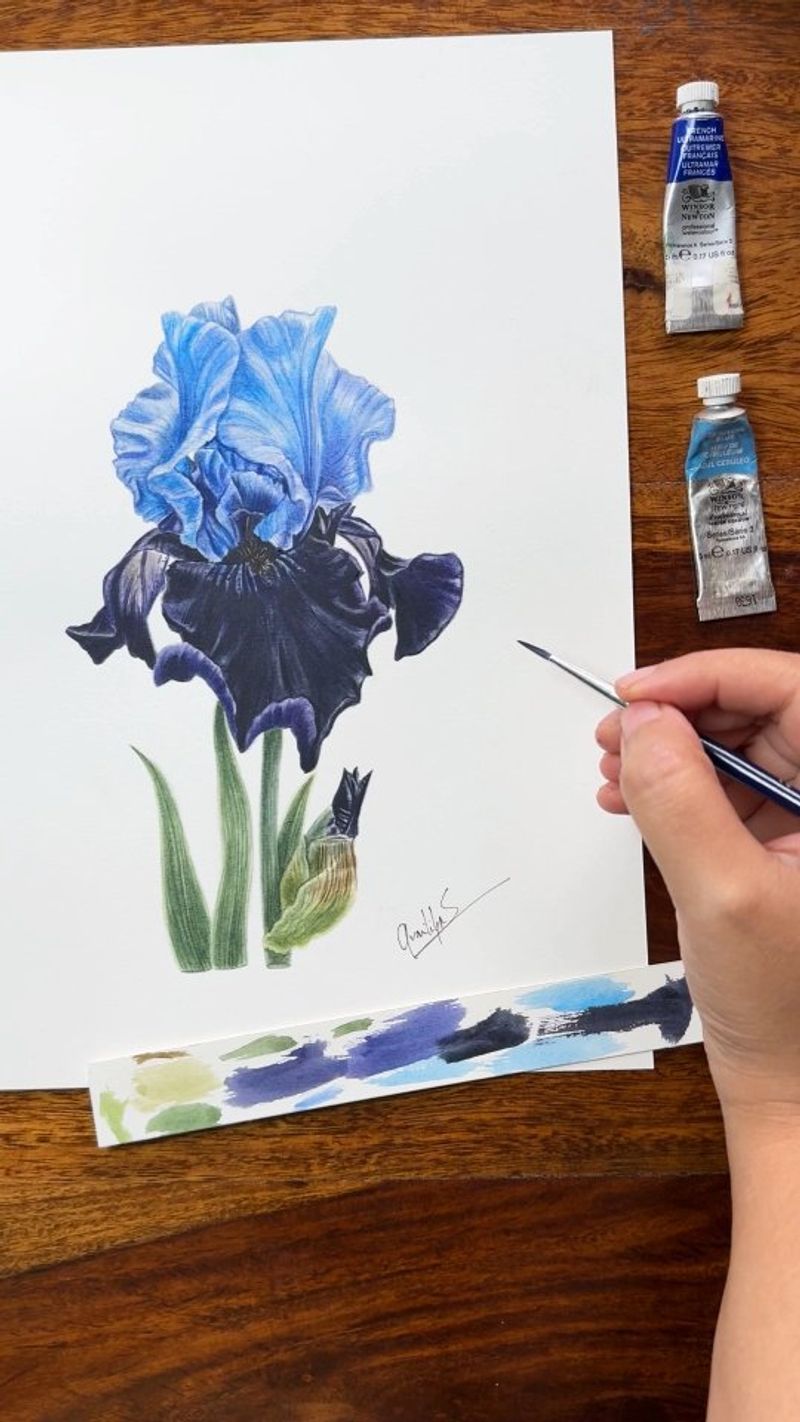 Host An Iris Watercolor Workshop