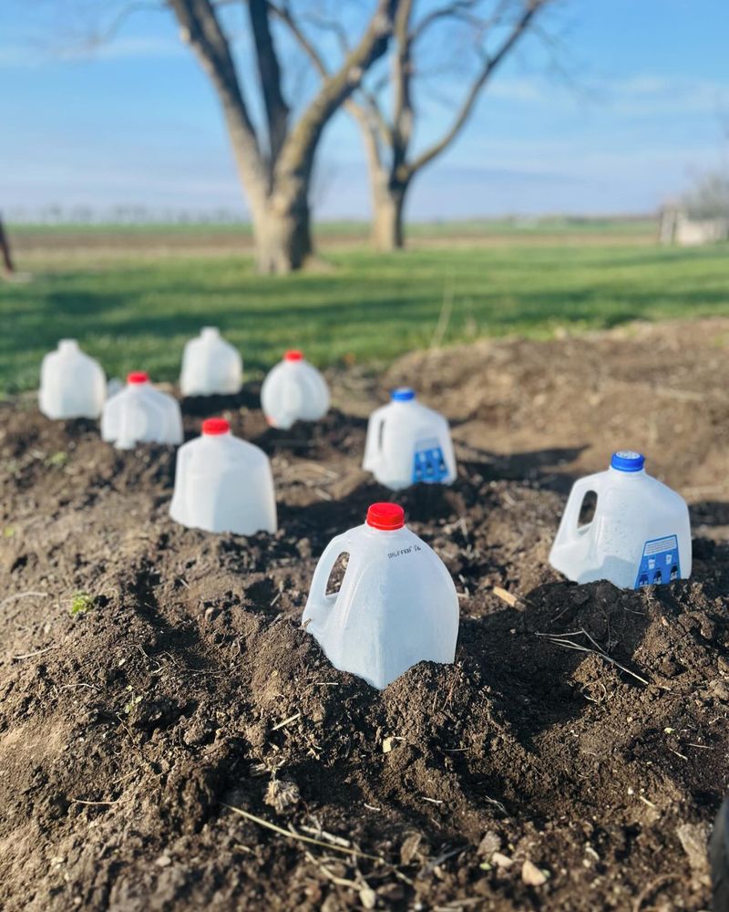 Reuse Plastic Milk Jugs As Scoops