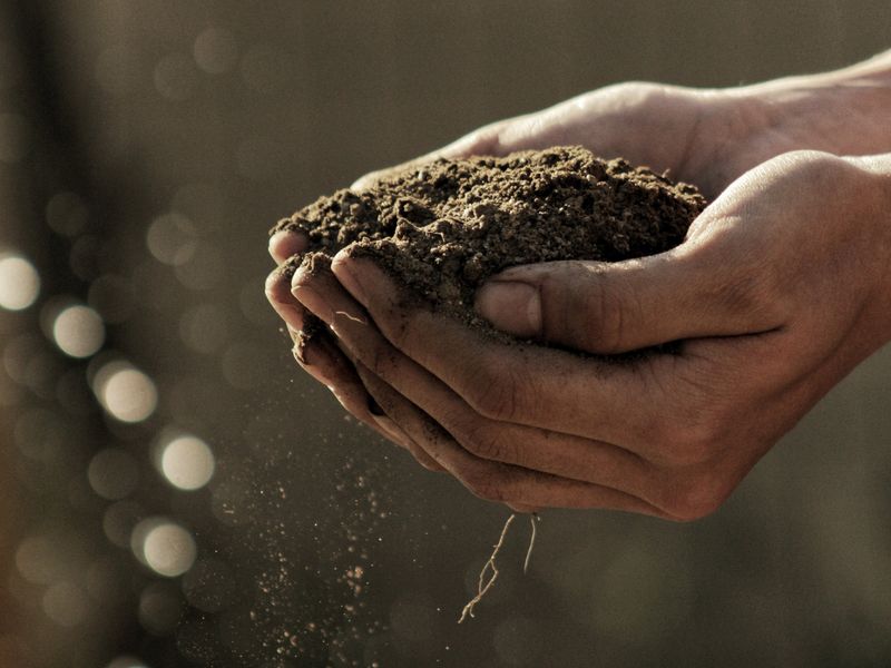Adjust Soil PH