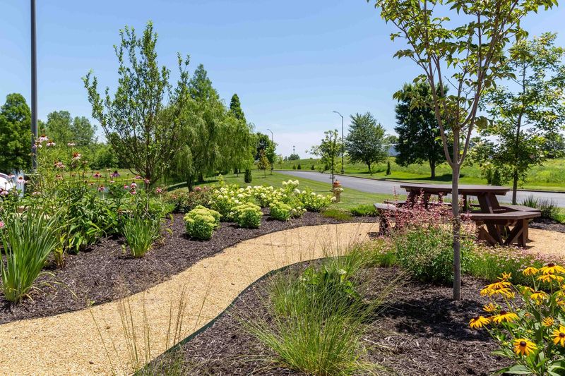 Time Your Mulching for Maximum Benefits