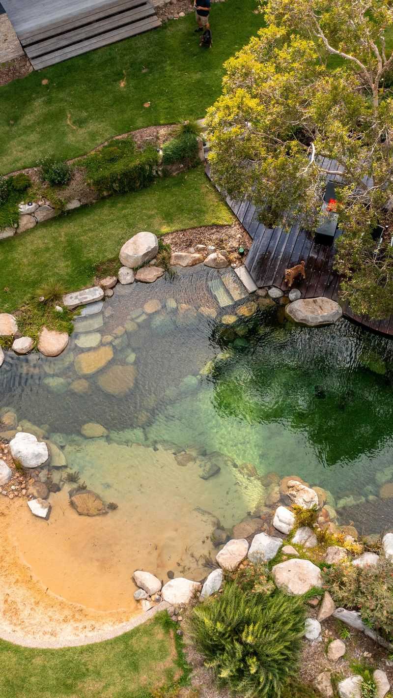 Install a Stunning Swimming Pond