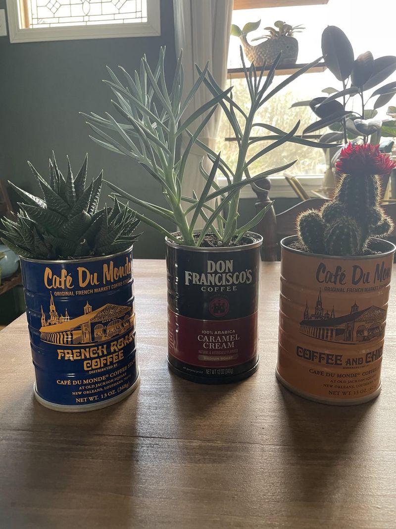 Repurpose household items as planters