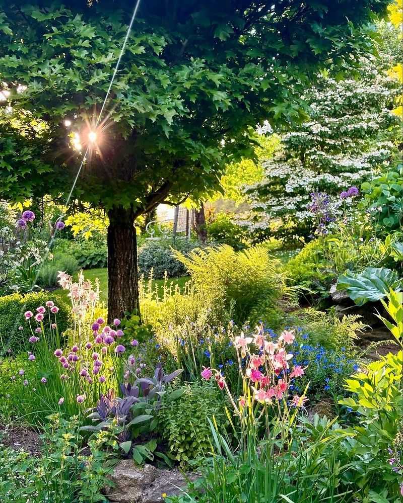 Layering Shrubs by Height