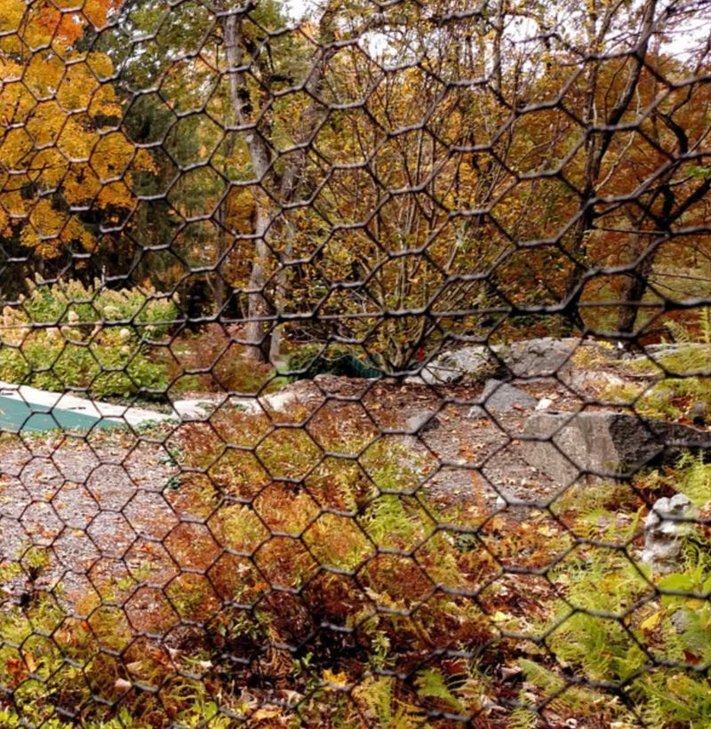 Forgetting About Deer Resistance