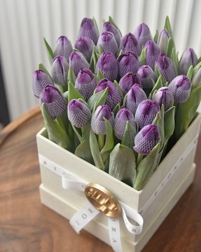 Silver-Purple and Cream: Moonlight Garden