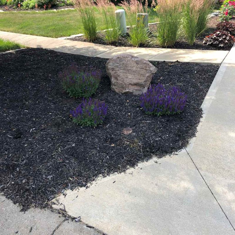 Heavily Mulched Areas