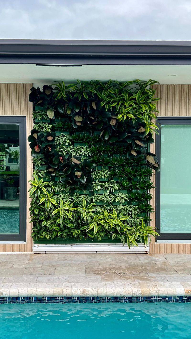 Living Green Wall Installation