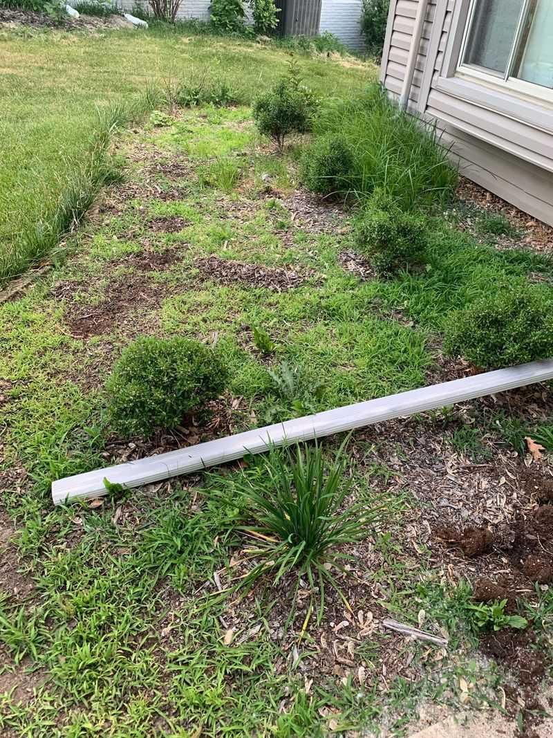 Smother With Mulch