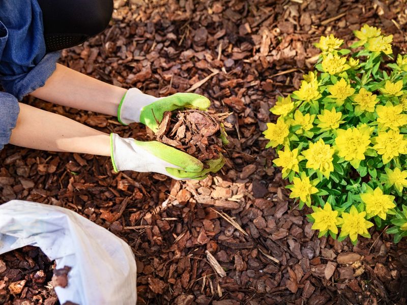 Refresh Mulch Layers