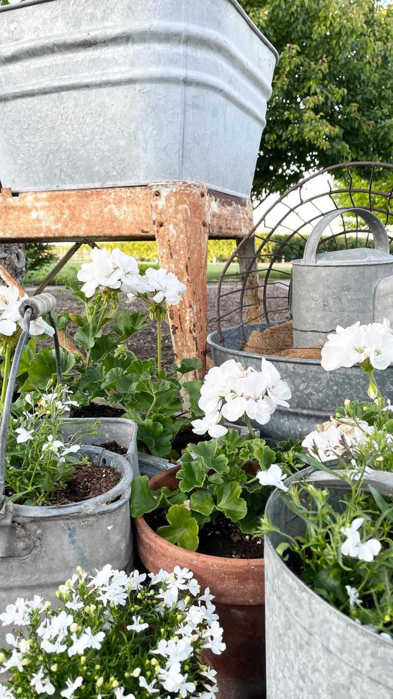 Galvanized Metal Tubs