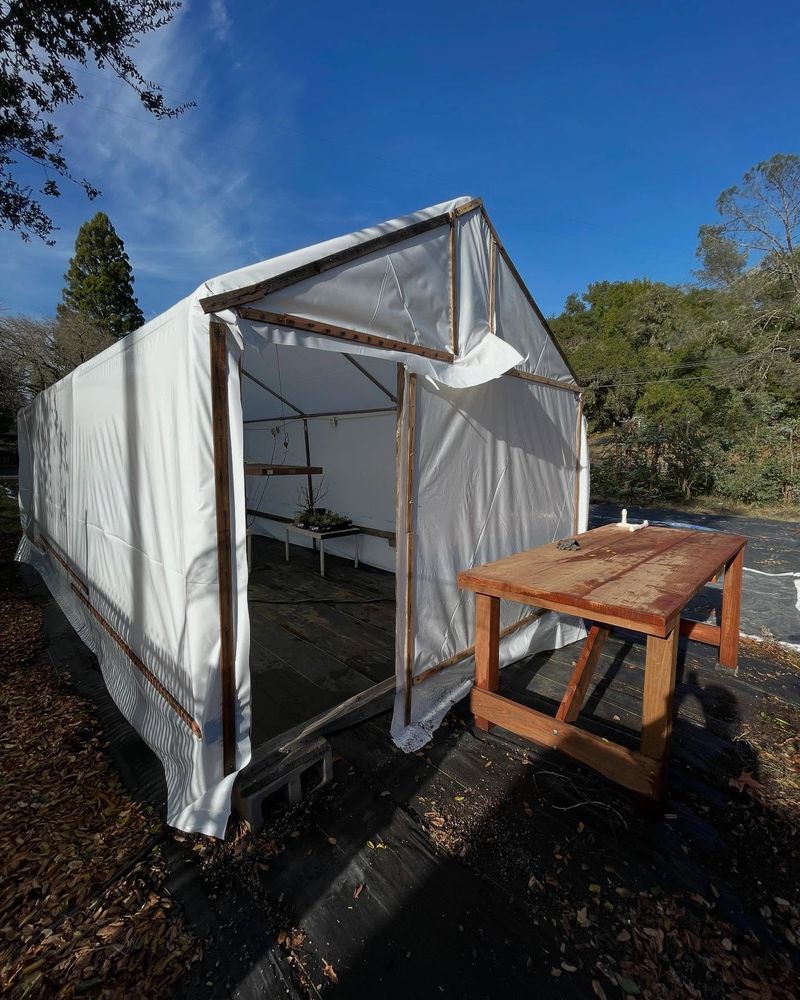 Pop-Up Greenhouse Tent