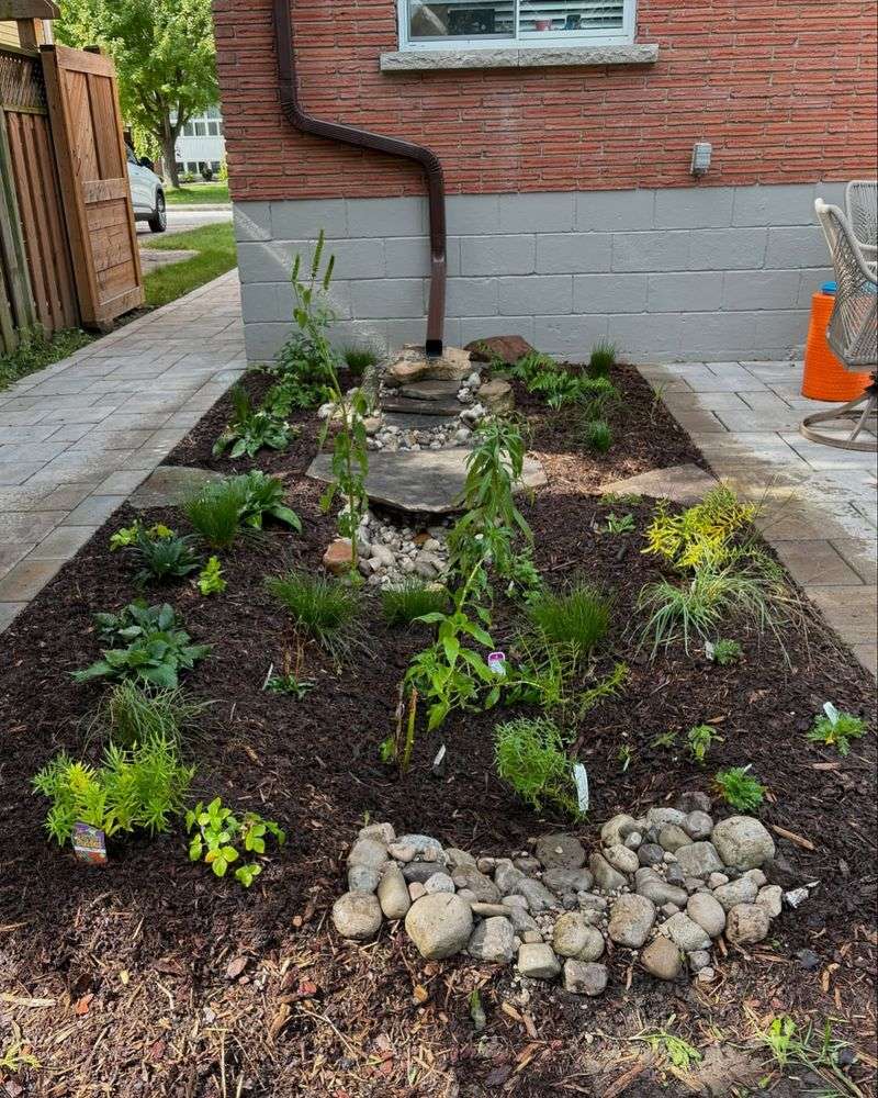 Rain Garden Installation