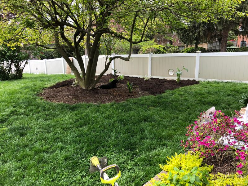 Expansive Lawns That Waste Water
