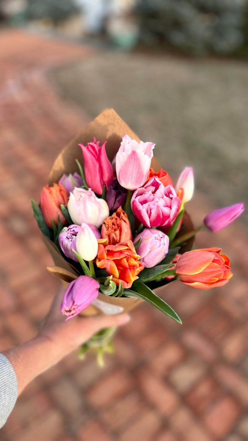 Pastel Rainbow: Soft Color Symphony