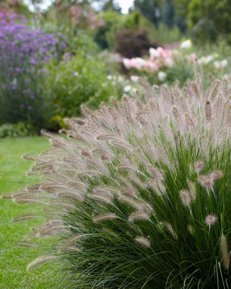 Budget-Friendly Landscaping Solutions