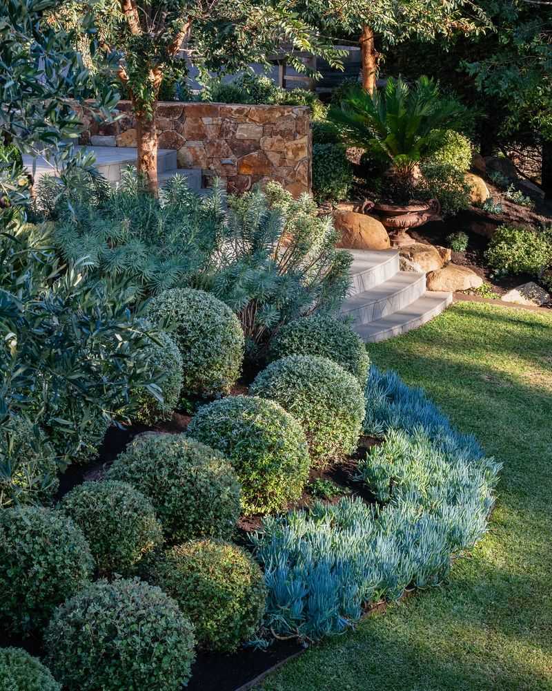 Establish a Grand Topiary Garden