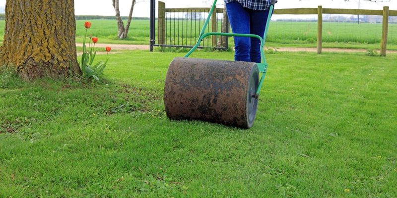 Use a Lawn Roller for Minimal Unevenness