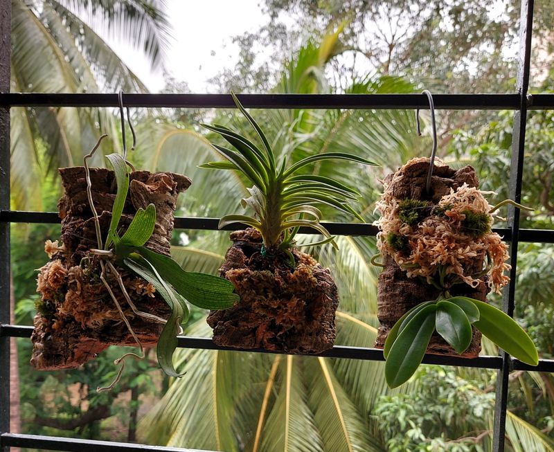 Mounting Options Beyond Pots