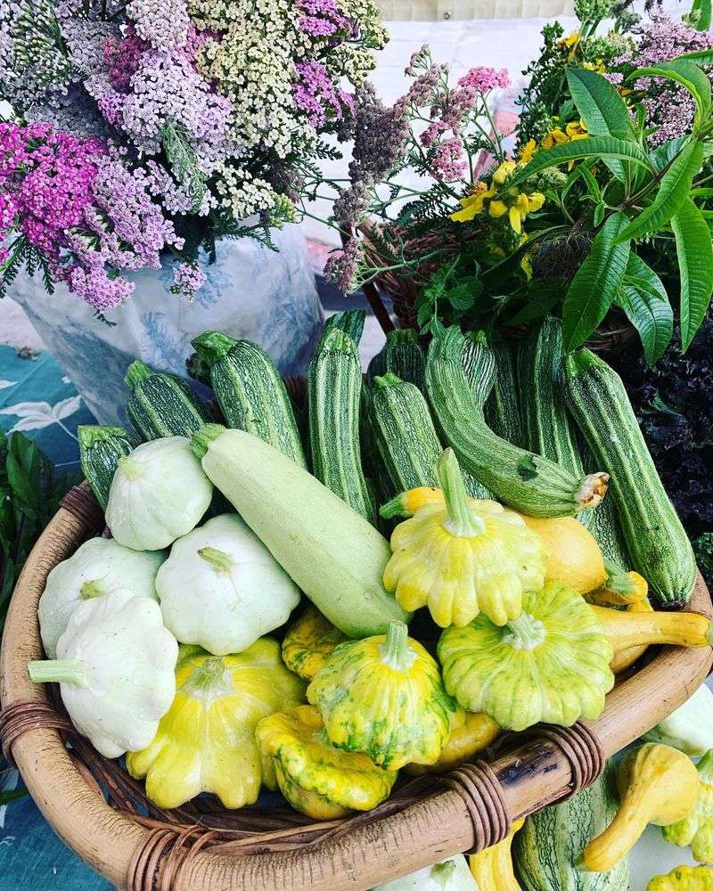 Squash