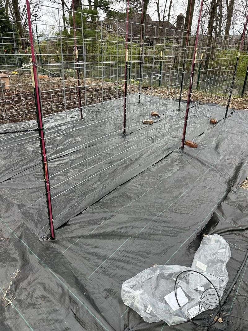 Using Weed Barriers Incorrectly
