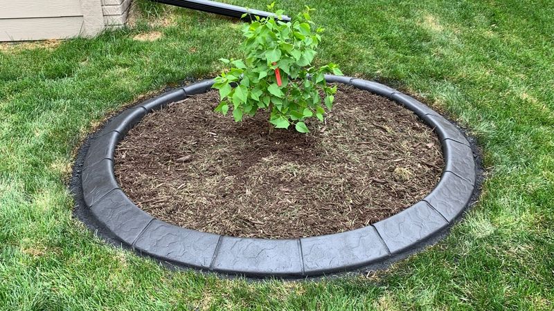 Edge Around Shrub Beds