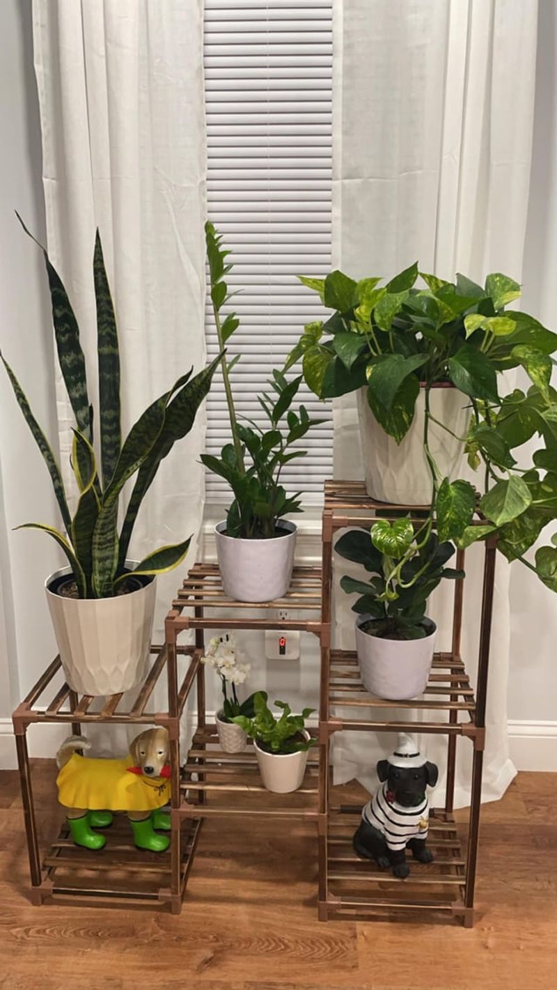 Explore online plant communities for deals