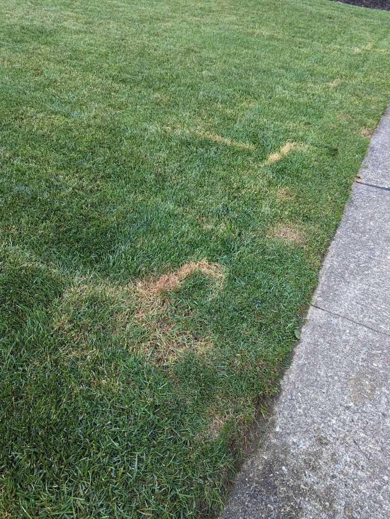 Less Is More: Avoiding Over-Fertilization