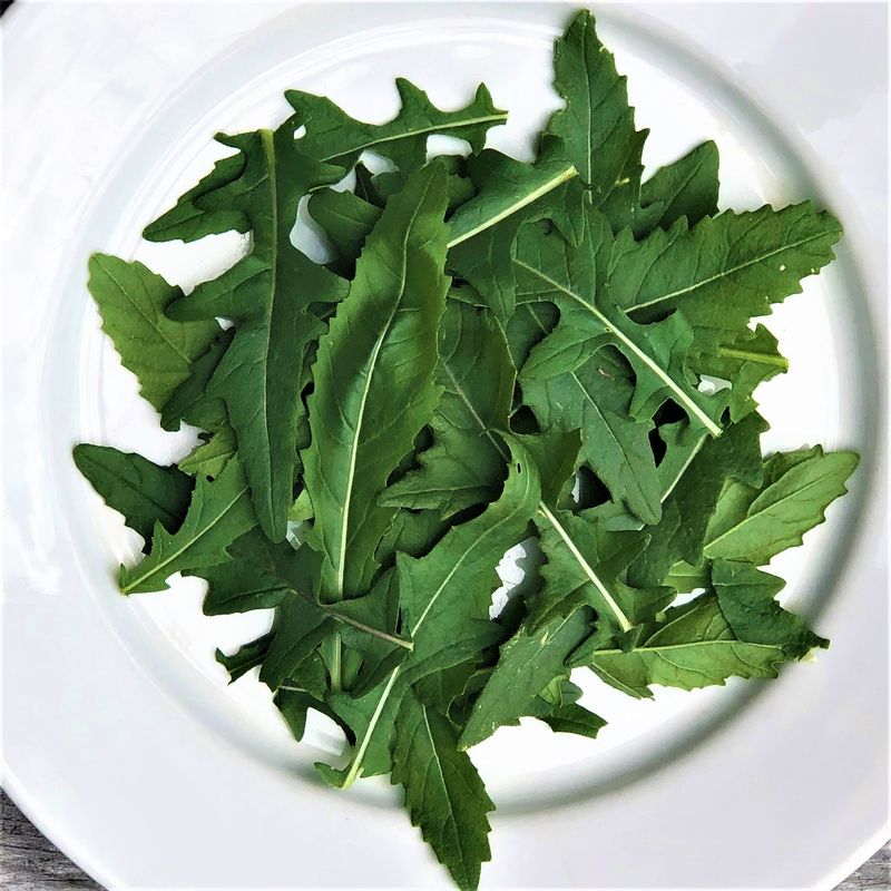 Wasabi Arugula