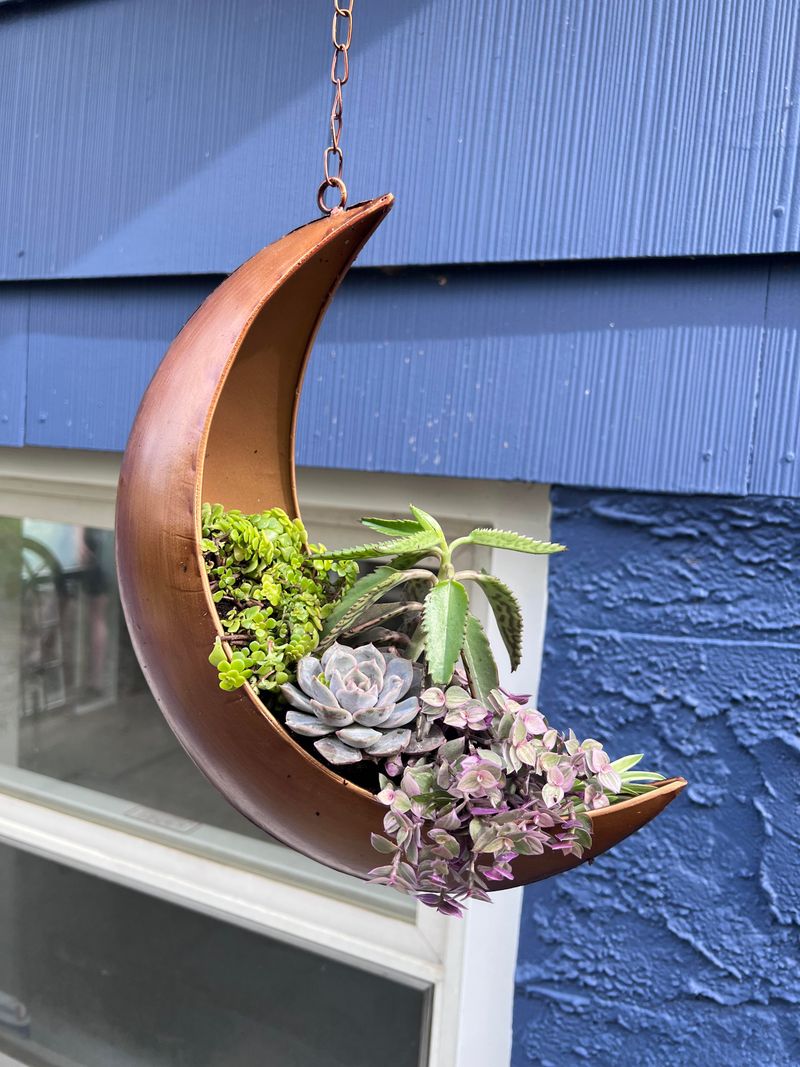 Hanging Planters