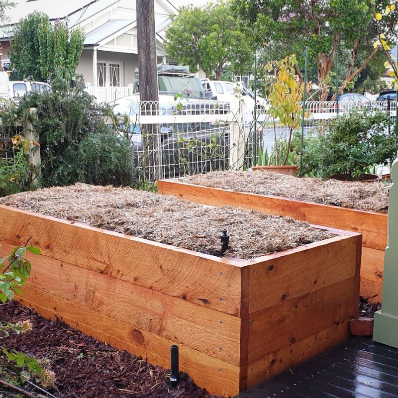 Isolated Flower Beds