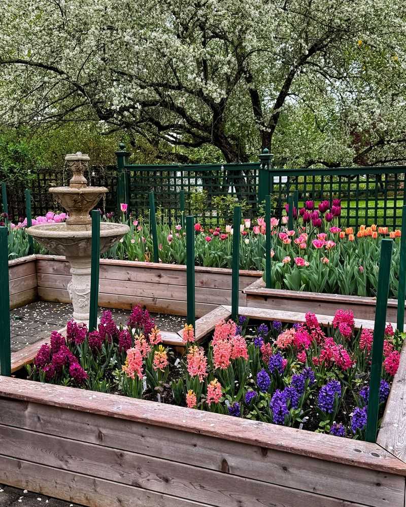 Versatile Garden Stars