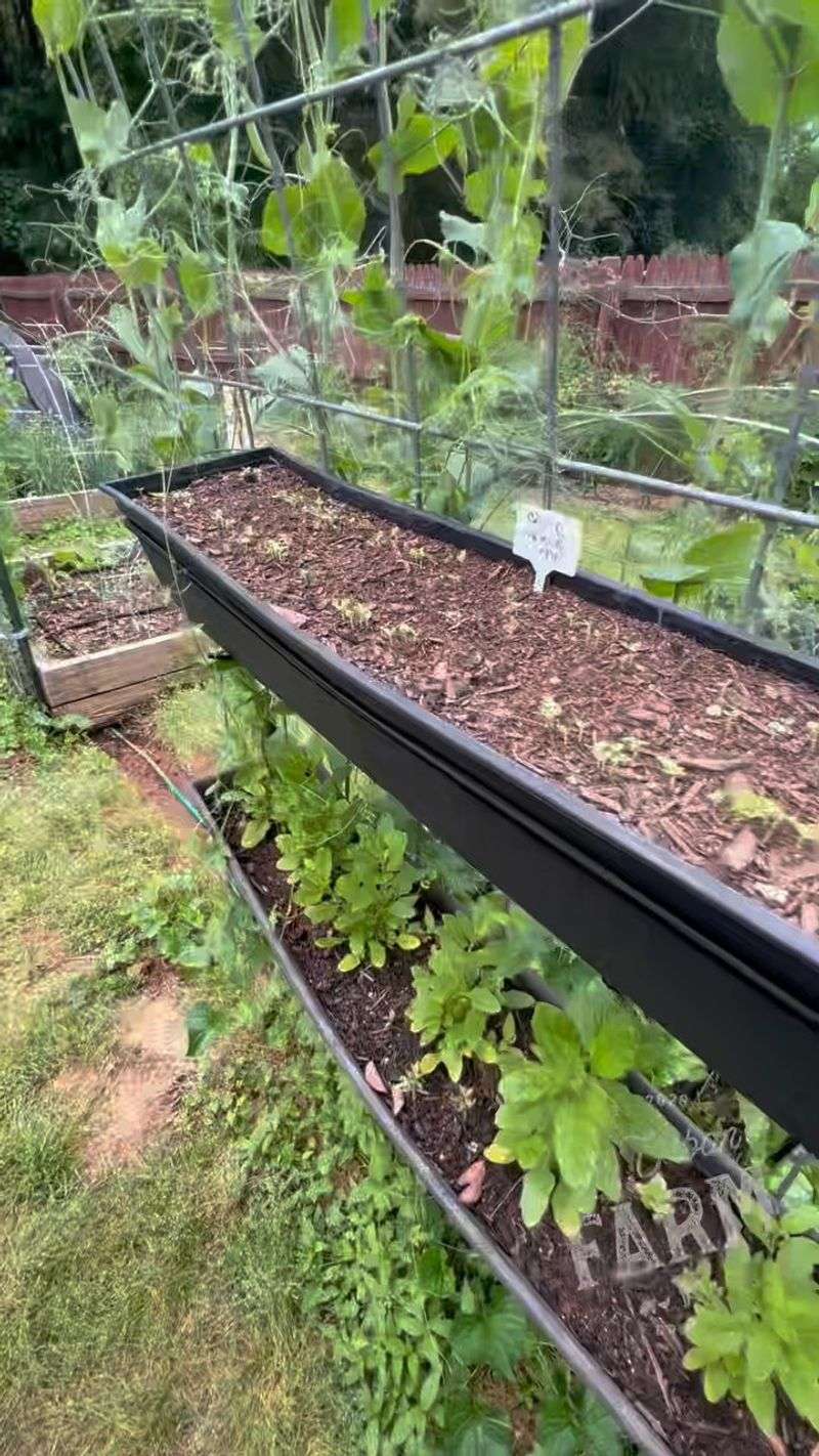 Seed Starting Boost