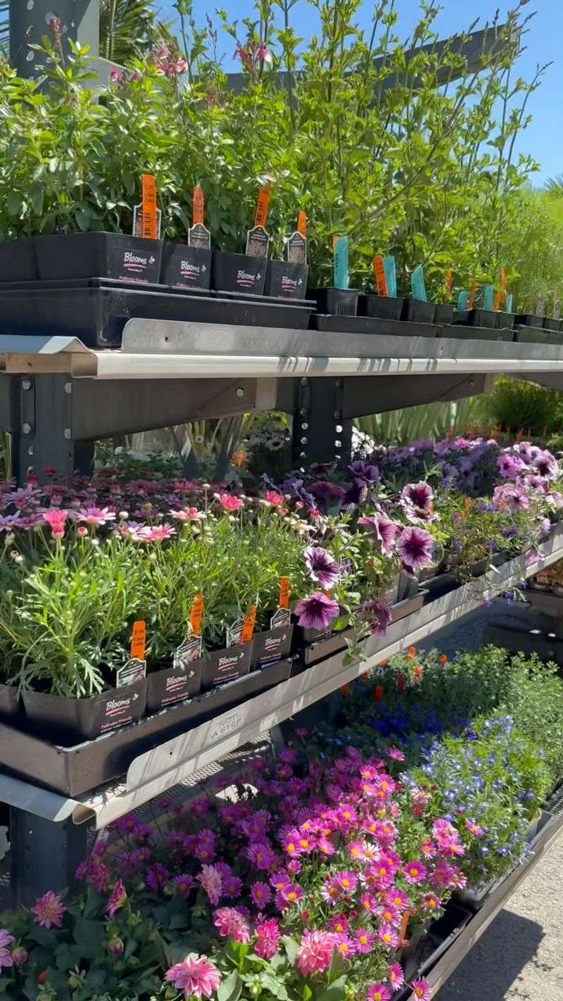 Plant New Additions