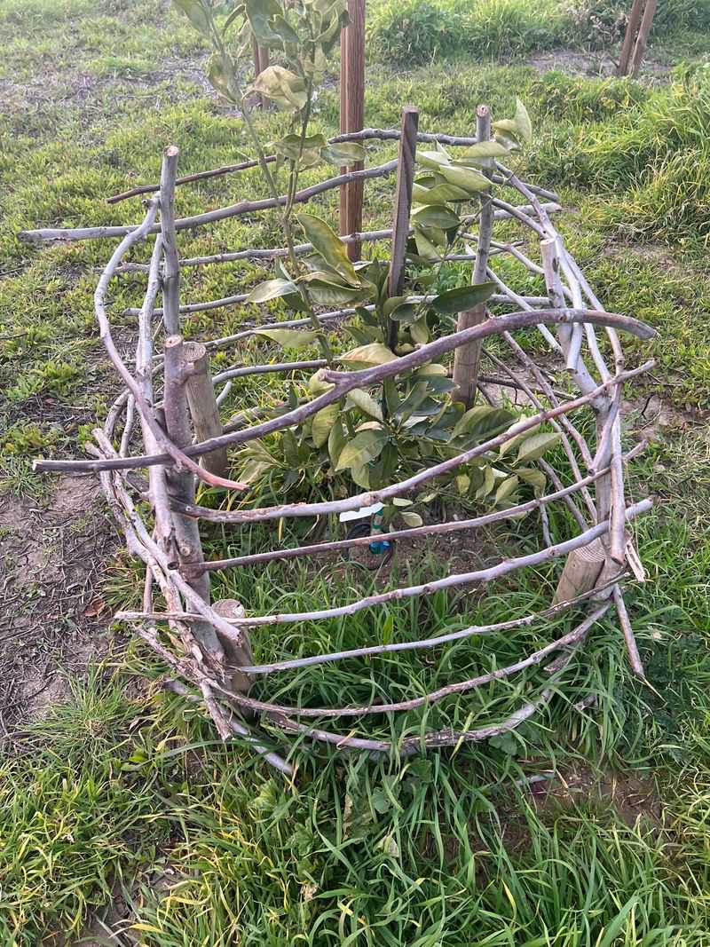 Deer Netting Barriers