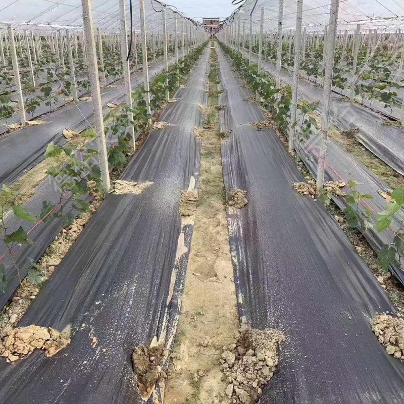 Plastic Weed Barrier Fabric