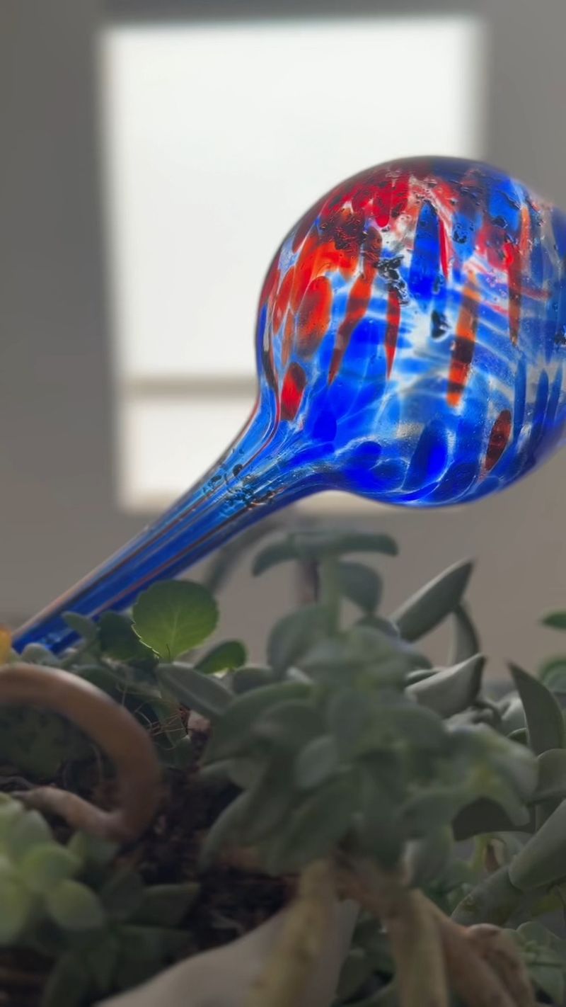 Automatic Plant Waterer Globes