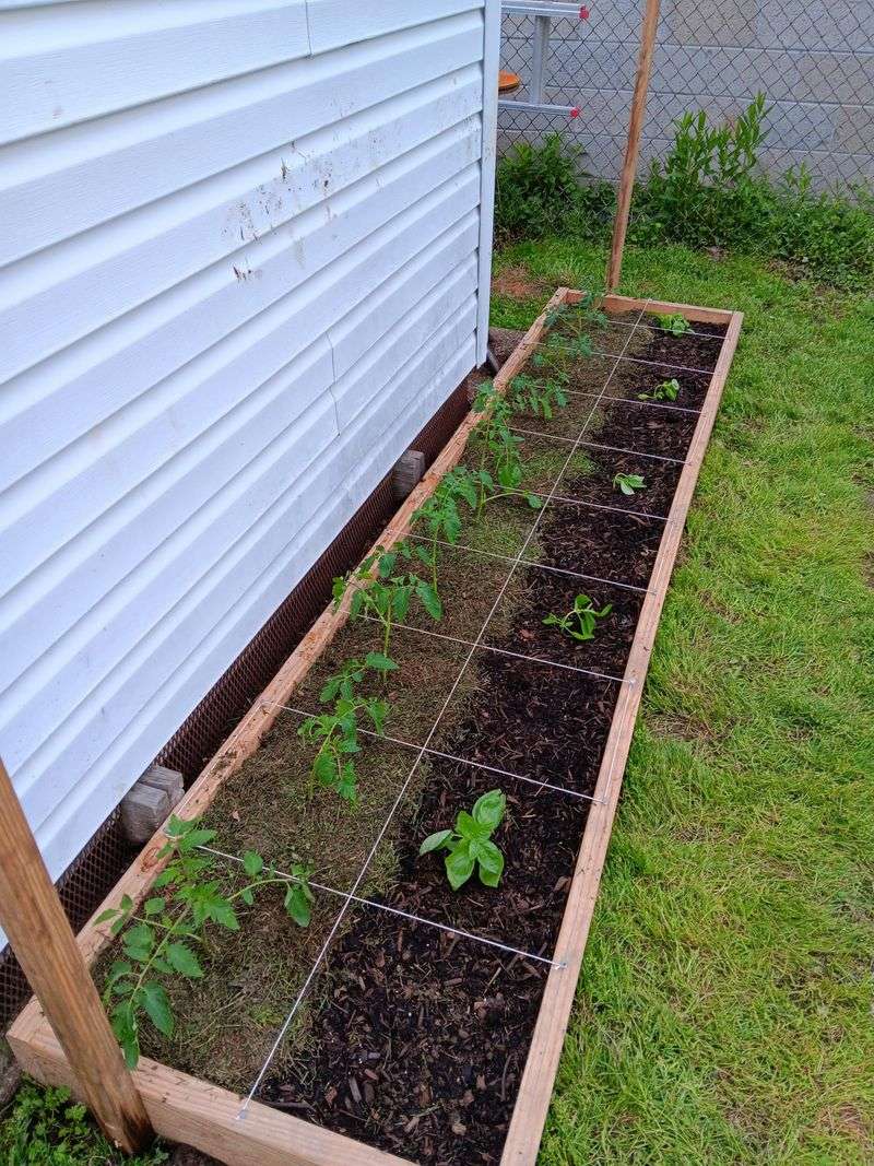 Implement Square Foot Gardening