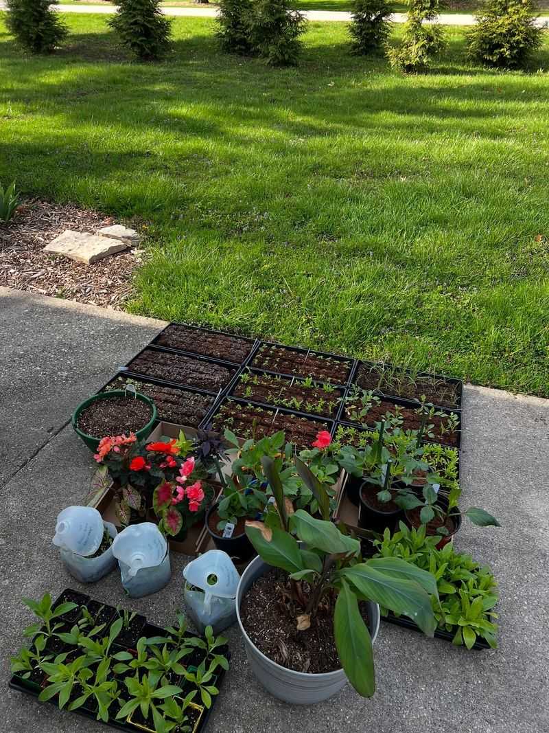 Time Your Garden Cleanup