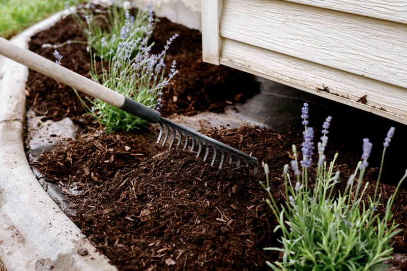 Mulch Properly