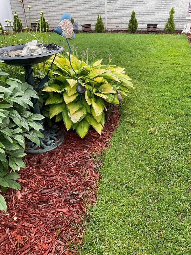 Creative Landscaping