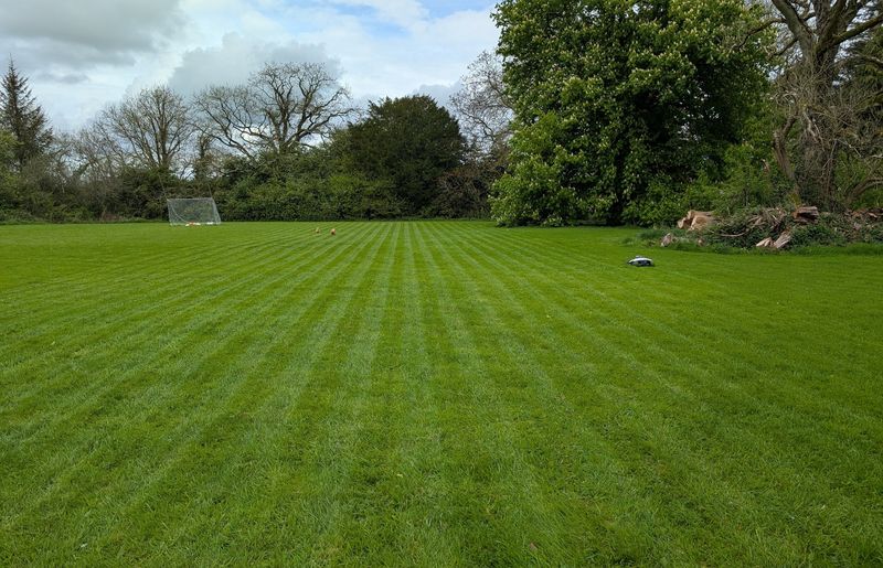 Perfectly Manicured Lawns