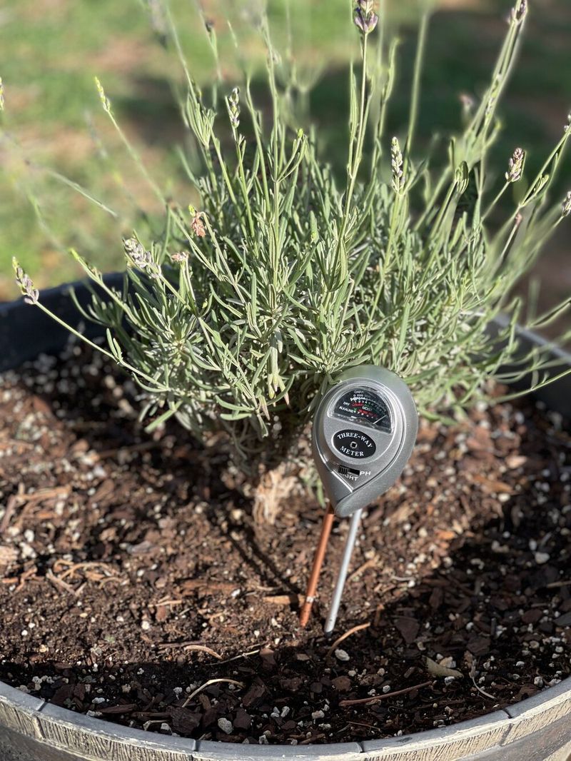Test And Adjust Soil PH