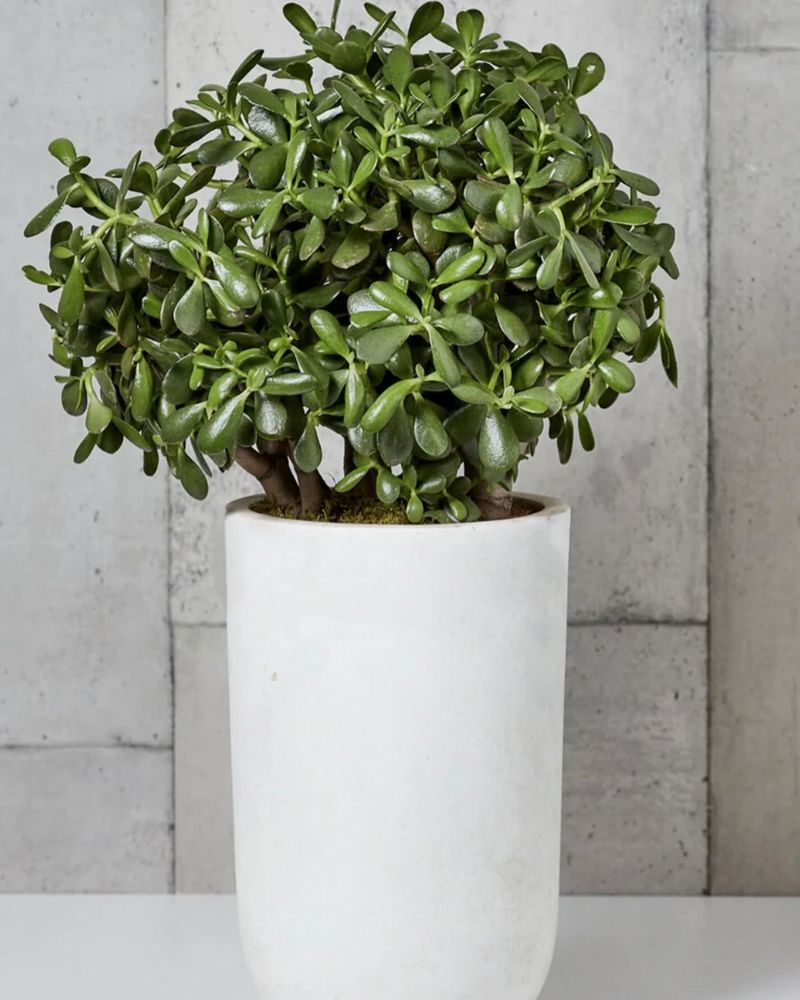 Entryway Console Table
