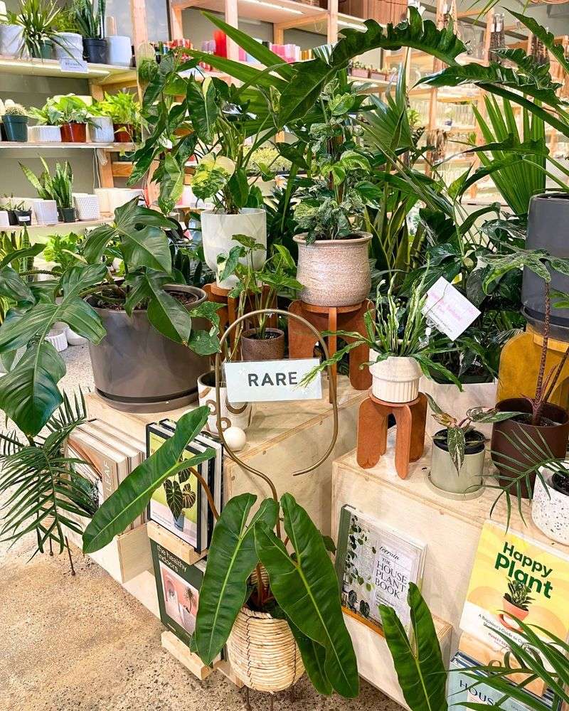 Rare Plant Collections